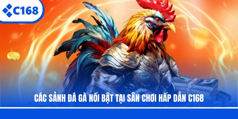 Các sảnh đá gà nổi bật tại sân chơi hấp dẫn C168