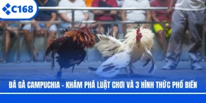 Đá Gà Campuchia - Khám Phá Luật Chơi Và 3 Hình Thức Phổ Biến