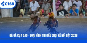 Đá Gà Cựa Dao - Loại Hình Thi Đấu Chọi Kê Nổi Bật 2026