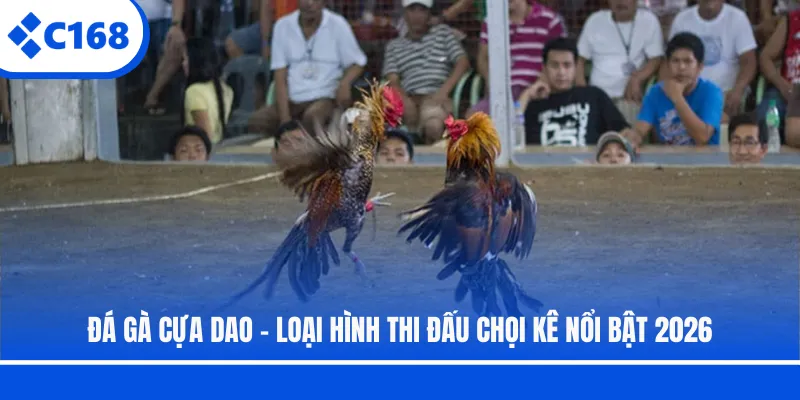 Đá Gà Cựa Dao - Loại Hình Thi Đấu Chọi Kê Nổi Bật 2026