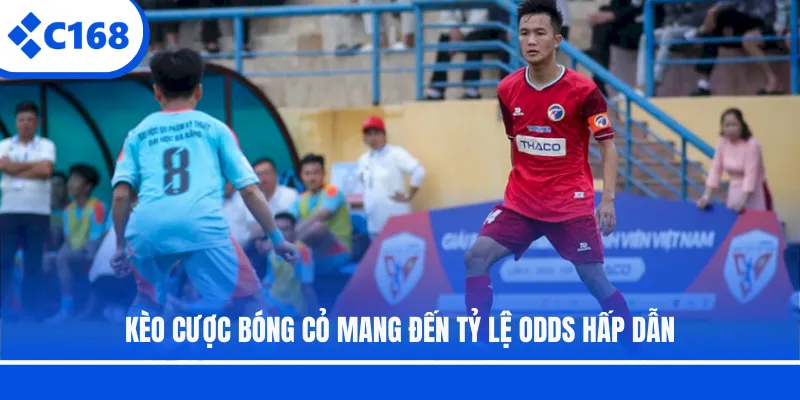 Kèo cược bóng cỏ mang đến tỷ lệ Odds hấp dẫn