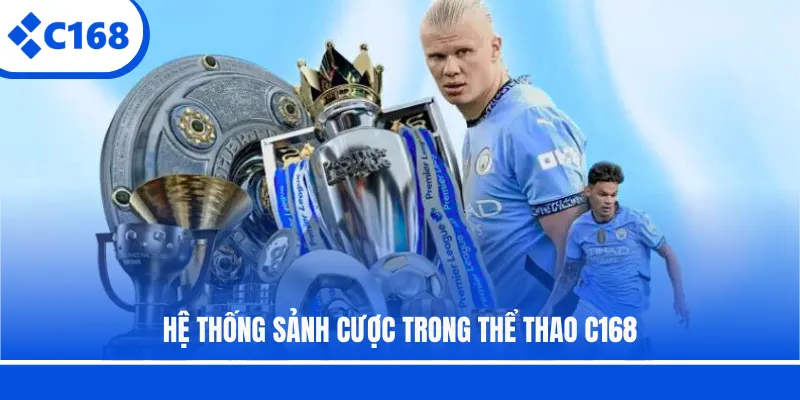 Hệ thống sảnh cược trong thể thao C168