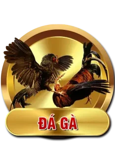 Đá gà c168